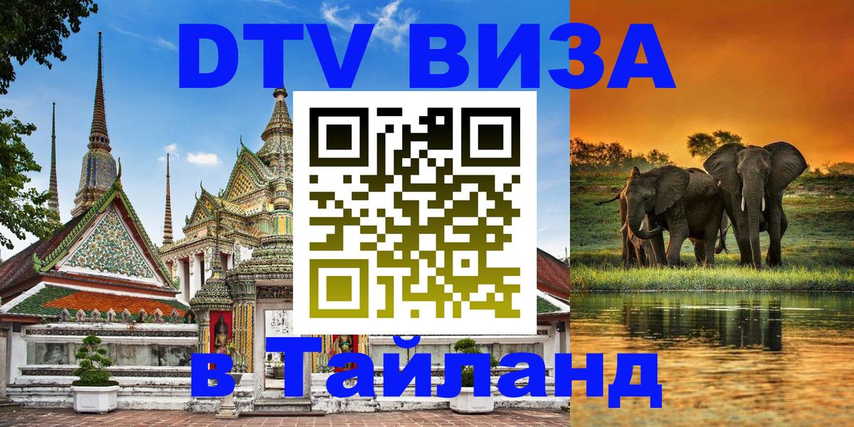 Оформление DTV визы под ключ: стоимость и тарифы, только загранпаспорт - 20.11.2025 